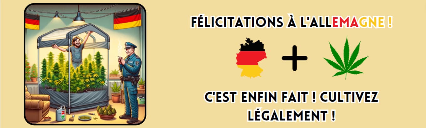 Allemagne loi de légalisation